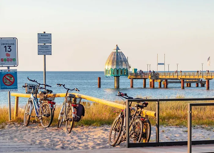 Seepferdchen An Der Seebruecke Zingst