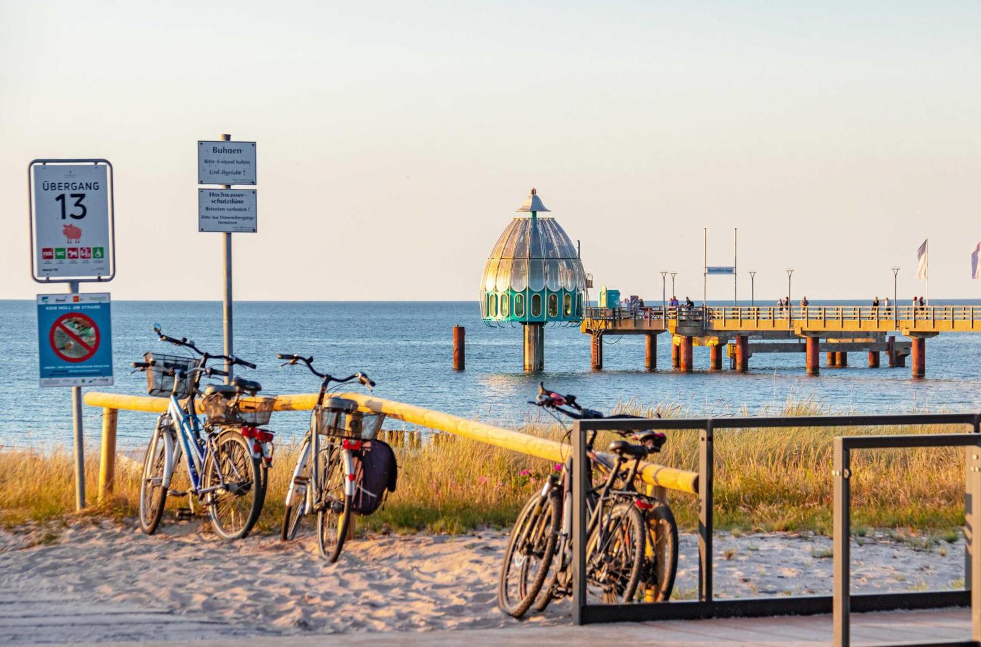 Seepferdchen An Der Seebruecke * Zingst