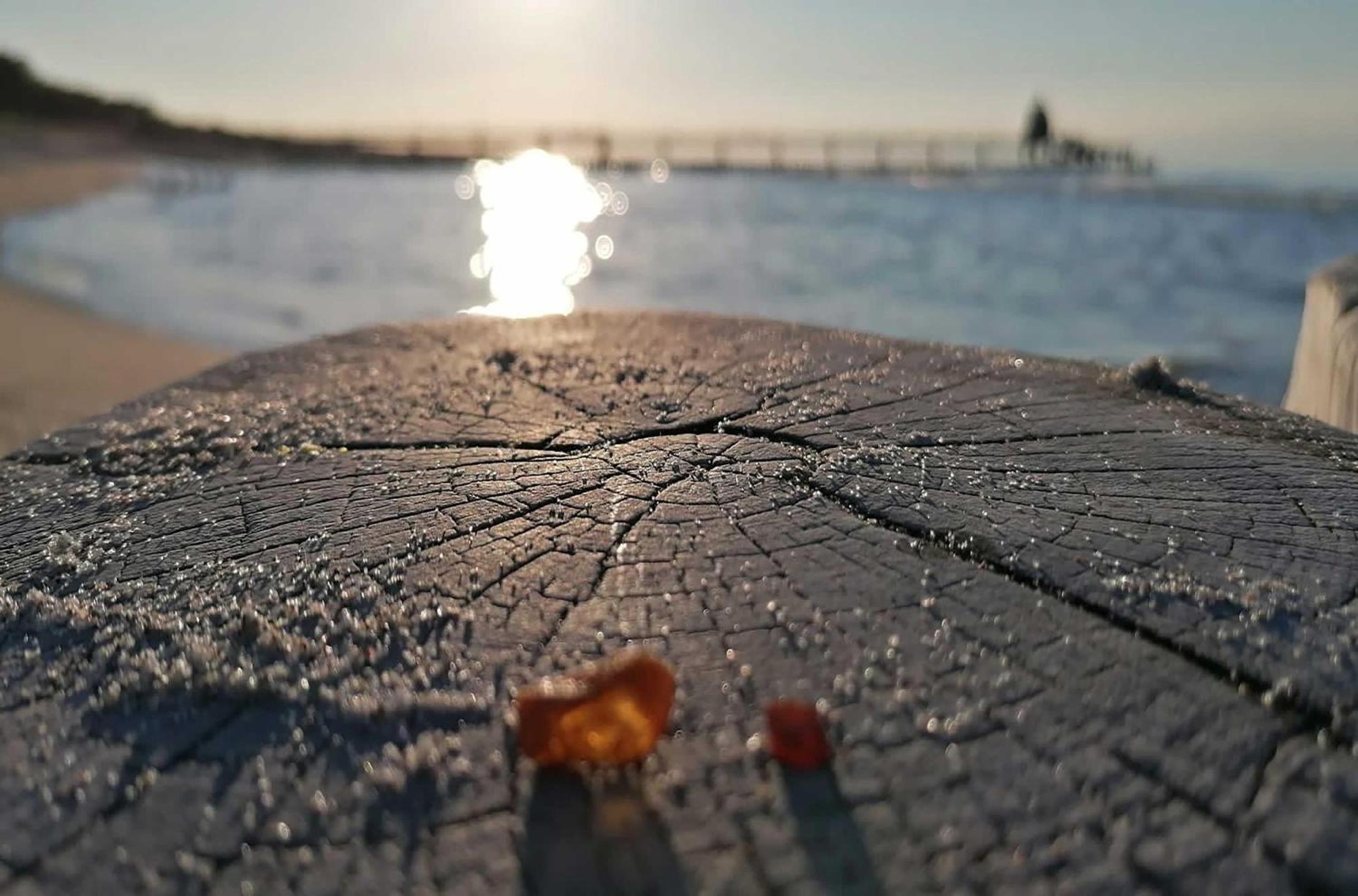 Seepferdchen An Der Seebruecke Apartment Zingst