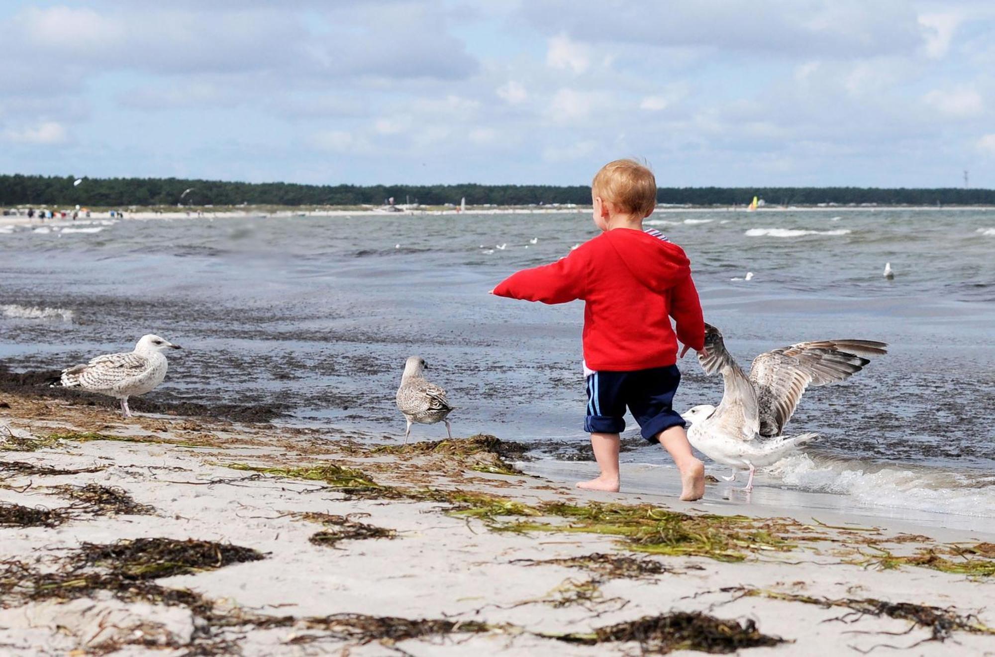 Apartment Seepferdchen An Der Seebruecke Zingst