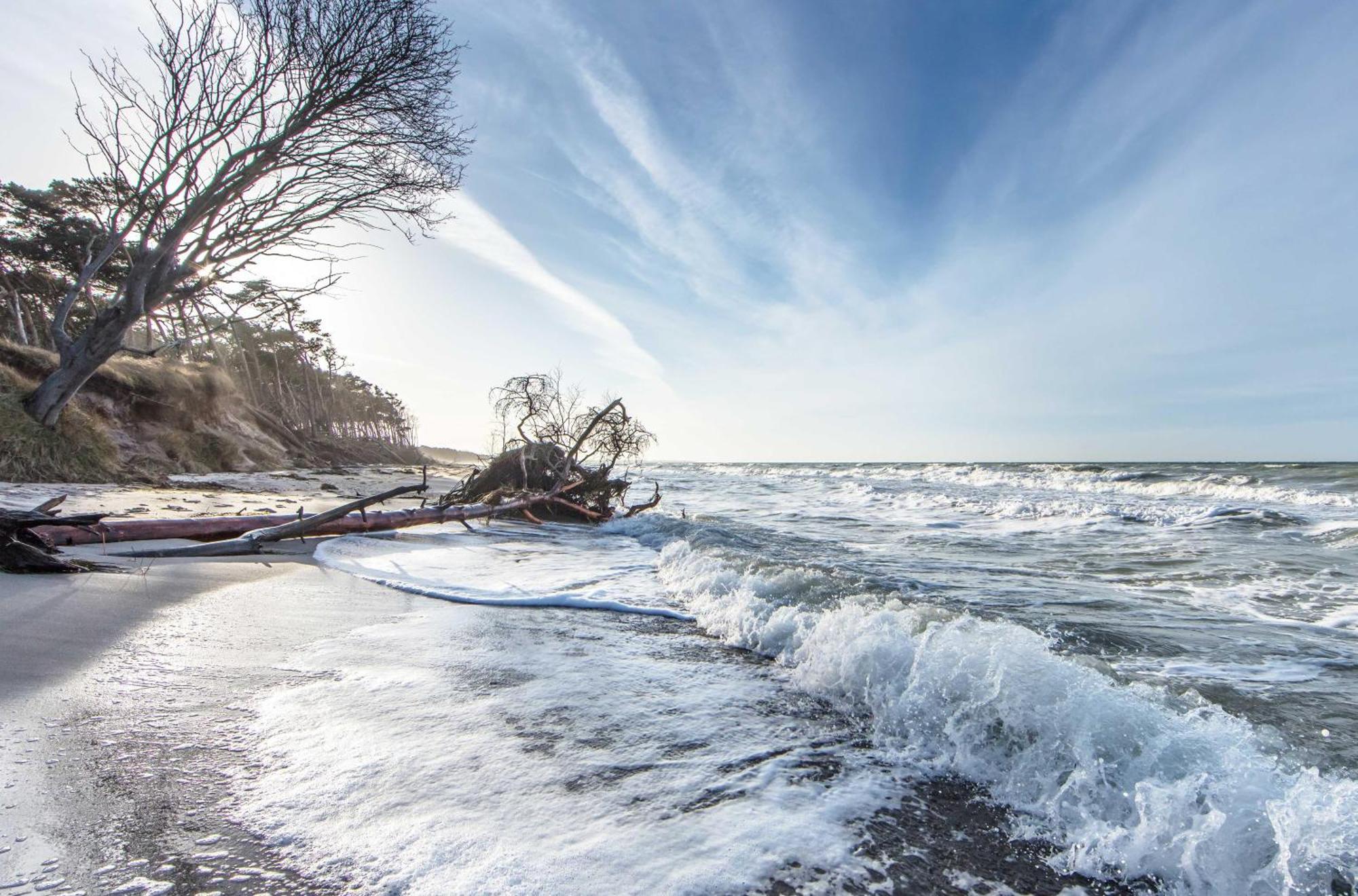 Seepferdchen An Der Seebruecke Apartment Zingst